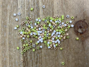 Delica Glasperlen 11/0 - Mix Key Lime Pie - bead&more